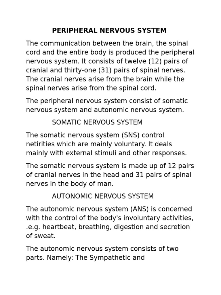 Overview of the Peripheral Nervous System | PDF | Neuron | Action Potential