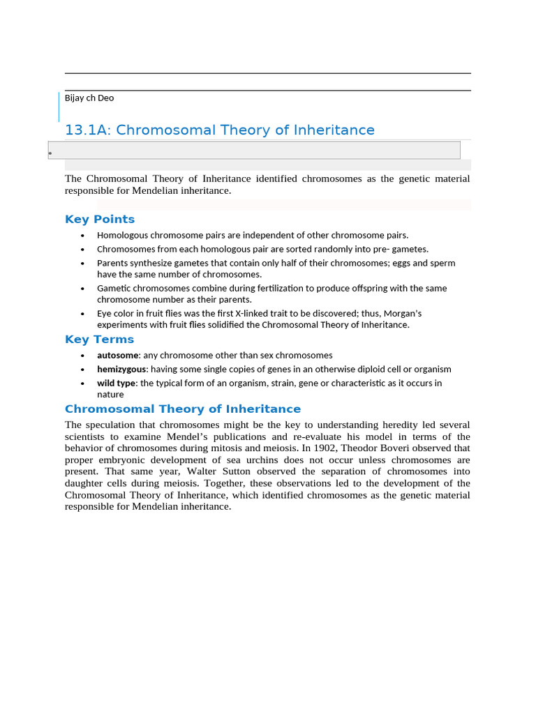 Chromosomal Theory of Inheritance Explained | PDF | Chromosome | Heredity