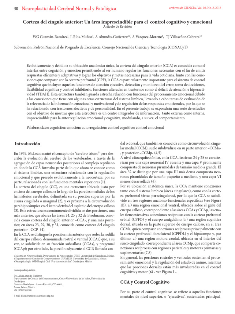 B - Prioridad Guzman W Et Al - Corteza Del Cingulo Anterior | PDF | Las ...