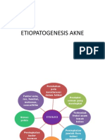 Etiopatogenesis Akne
