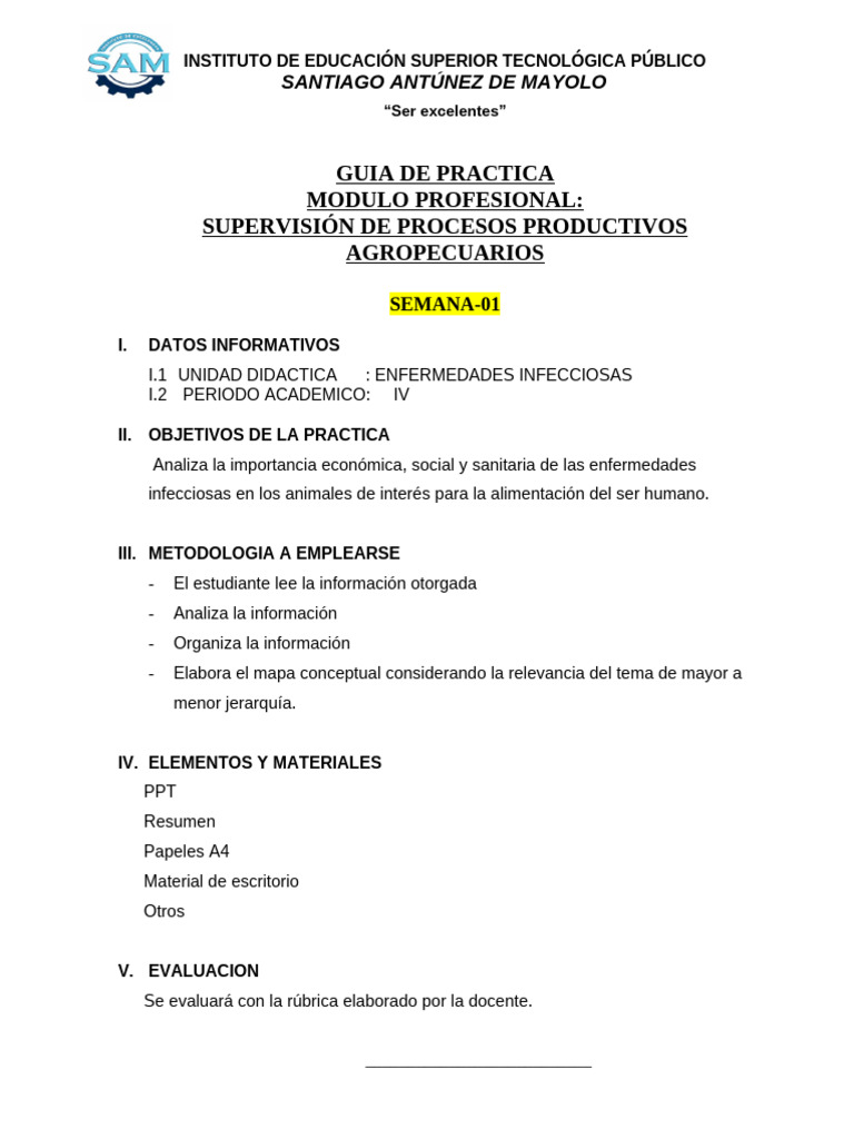 Guia de Practica 2025 Ei-1 | PDF