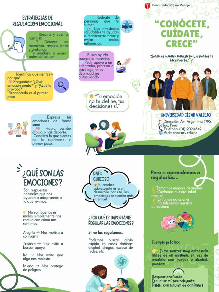 Estrategias para Regular Emociones | PDF | Las emociones ...