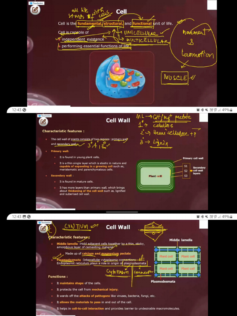Lecture 2 Bio Cell 1st | PDF