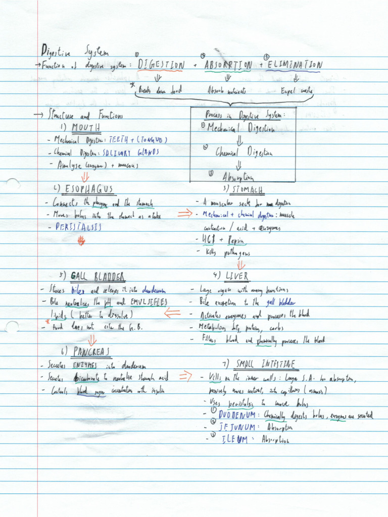 G10 Biology Notes | PDF