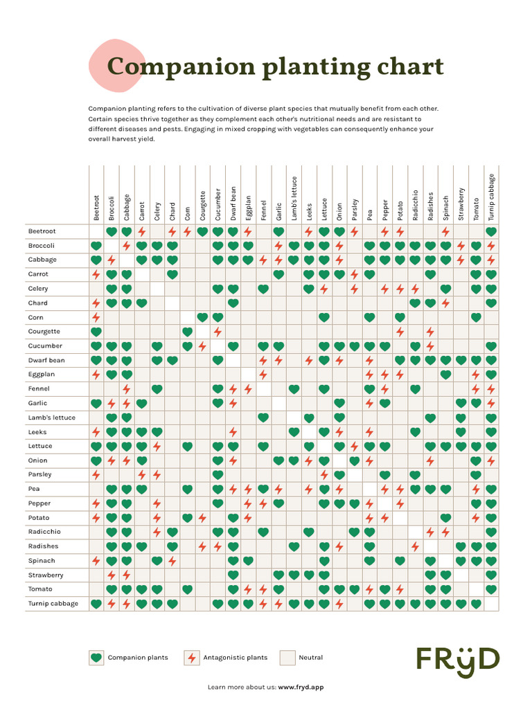 Companion Planting Benefits Chart | PDF | Vegetables | Foods