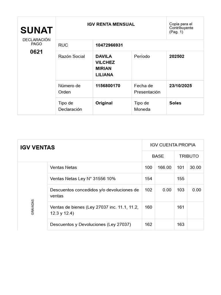 Declaración Mensual IGV Renta SUNAT 2025 | PDF