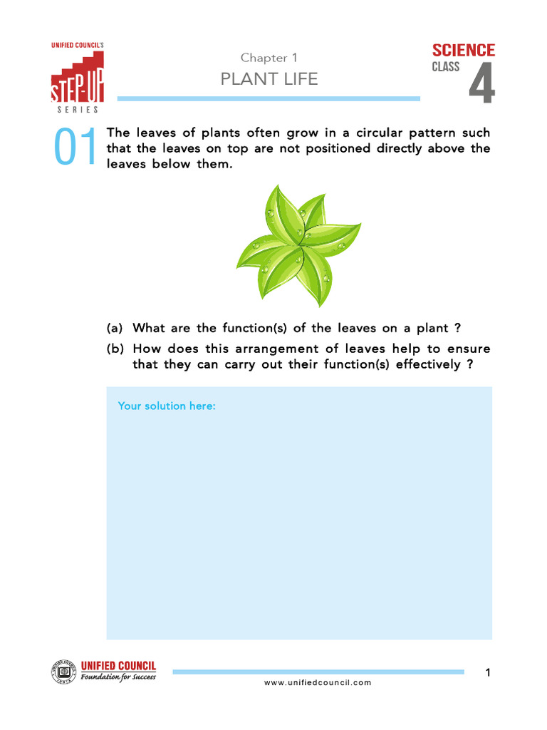Chapter-1 Stepup Science Class 4 QP | PDF | Leaf | Plants