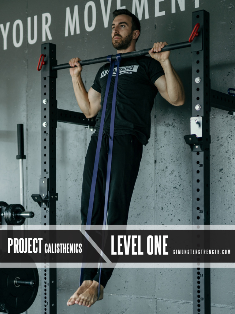 12-Week Beginner Calisthenics Plan | PDF | Strength Training ...