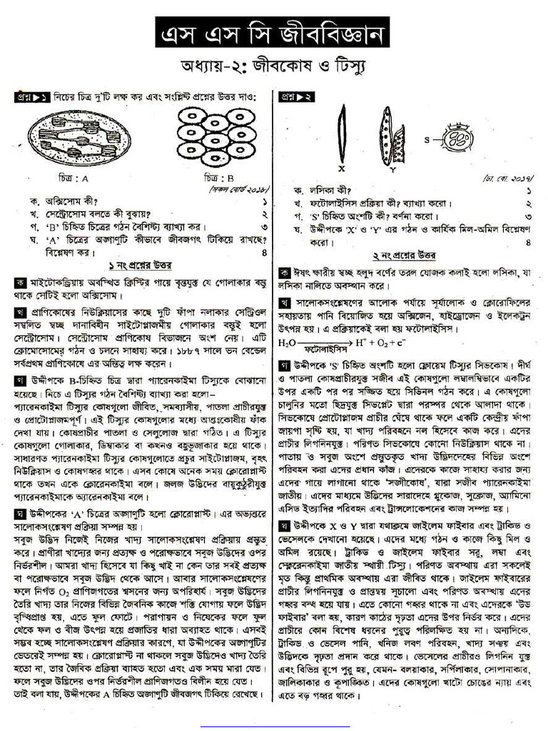 SSC Biology Notes 2nd Chapter Cell and Tissue of Organism | PDF