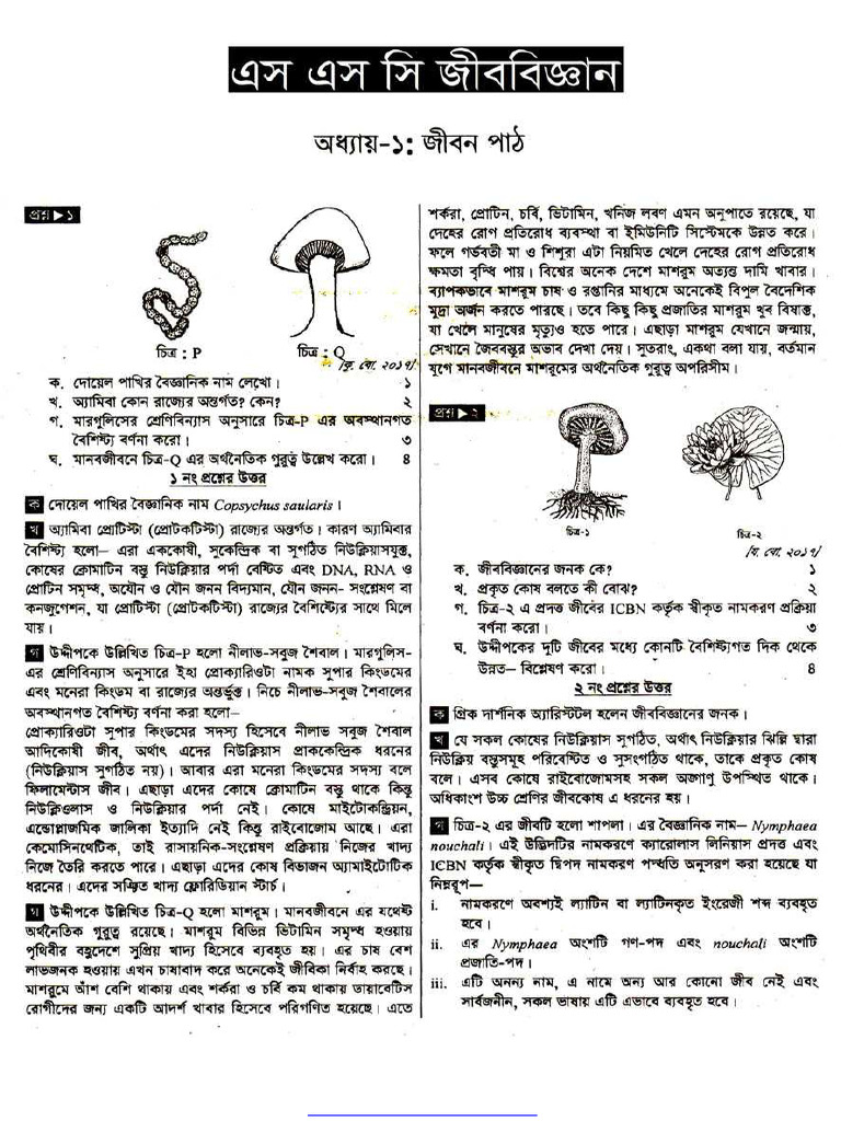 SSC Biology Notes 1st Chapter Lesson On Life | PDF