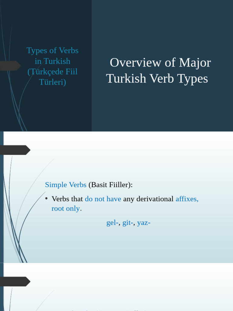 Turkish Verb Types Explained | PDF