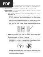 Natural Defects in Timber Explained | PDF