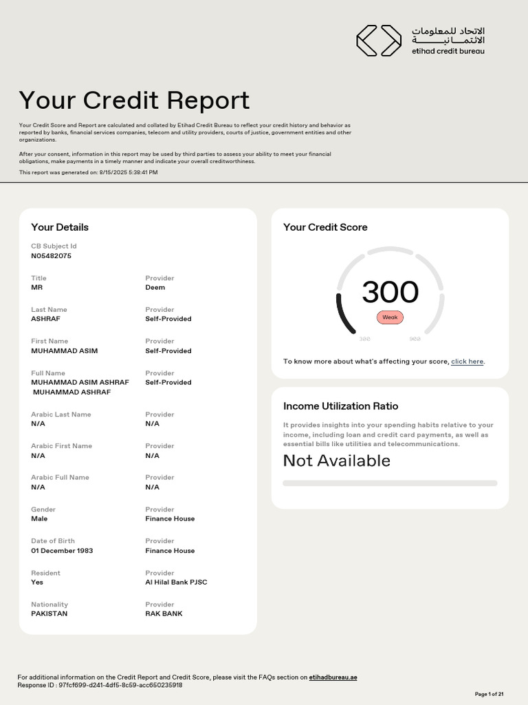 Comprehensive Credit Report Overview | PDF | Credit | Finance & Money ...