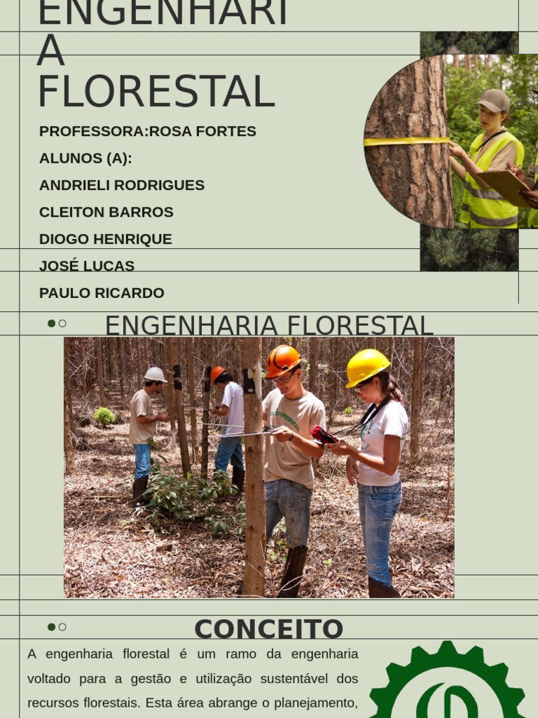 Engenharia Florestal: Conceitos e Atuação | PDF