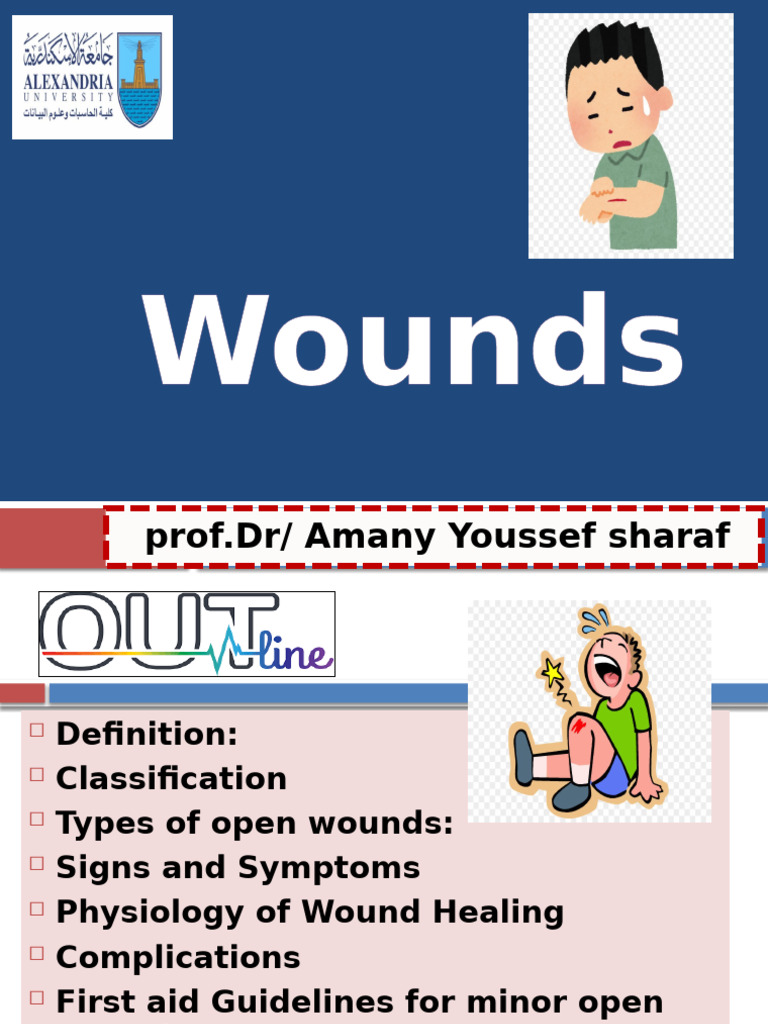 Comprehensive Guide to Wound Care | PDF | Wound | Diseases And Disorders