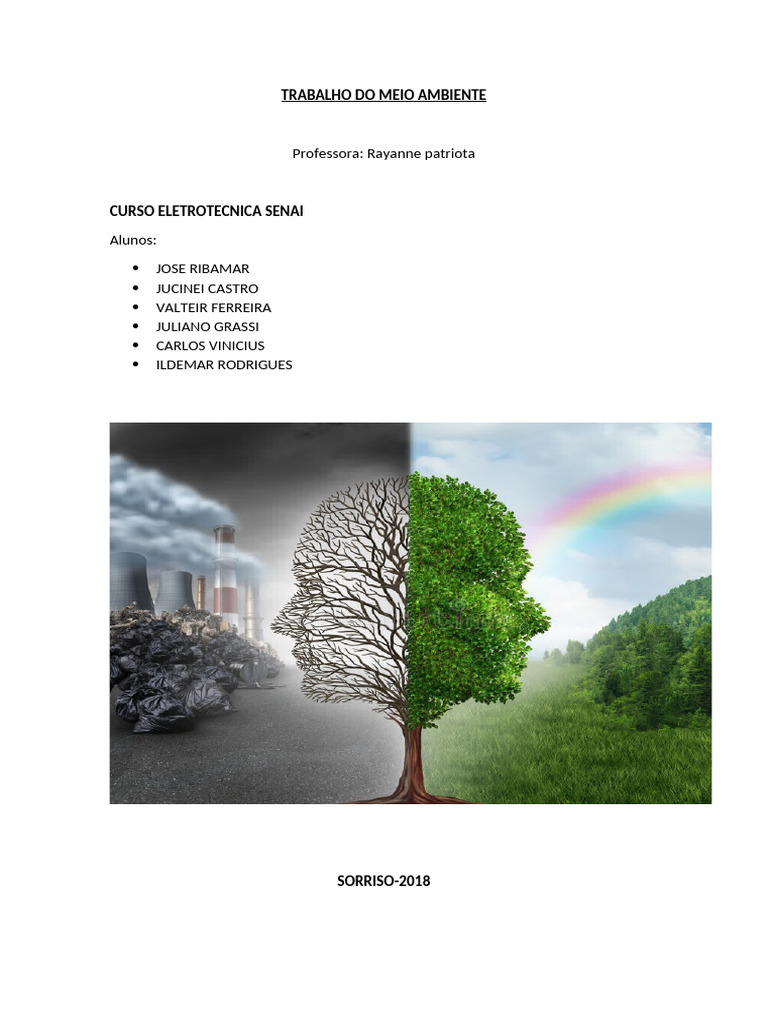 Trabalho Do Meio Ambiente Capa | PDF