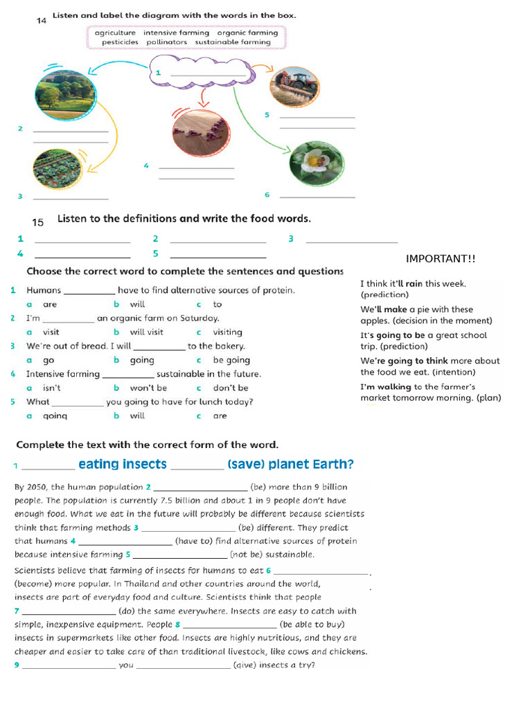 Unit 4 Assessment | PDF