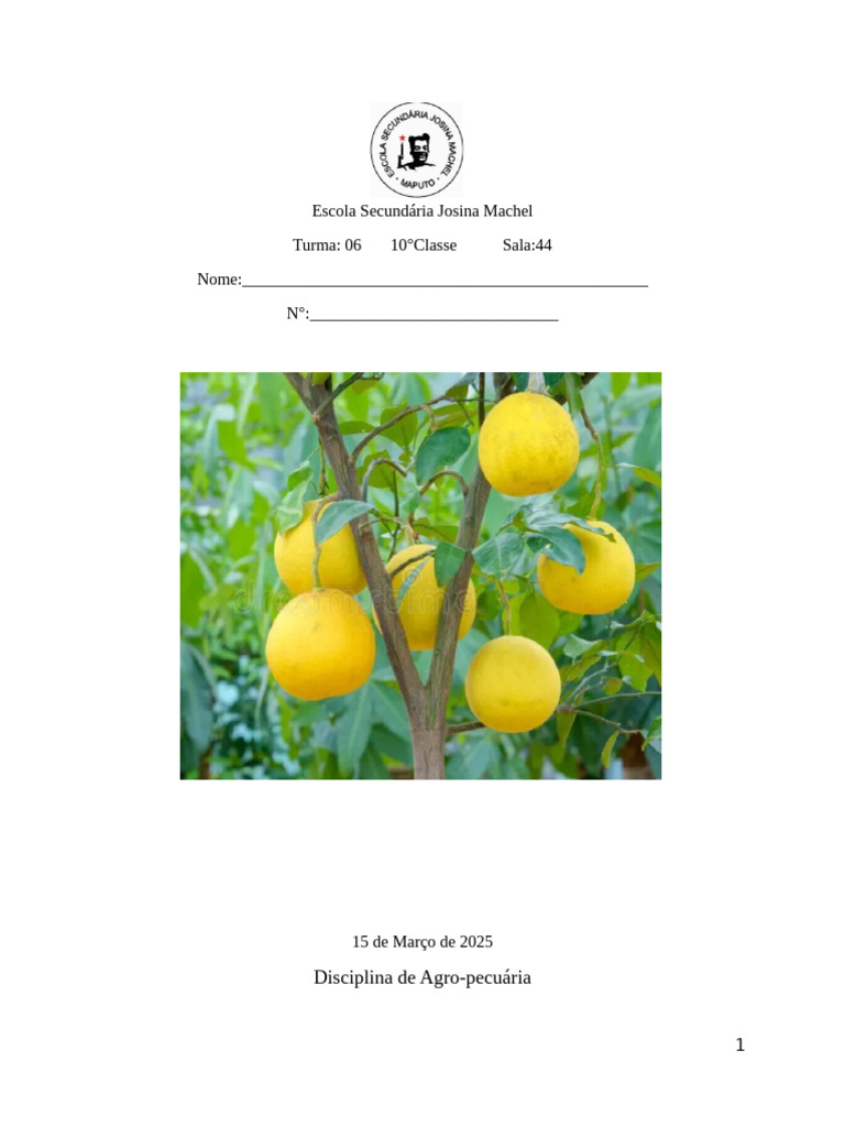 Cultivo e Características do Shadock | PDF | Laranja (fruta) | Agricultura