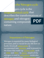 What Is The Nitrogen Cycle