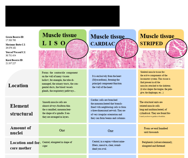 Comparative Chart of Muscle Tissue | PDF | Muscle | Tissue (Biology)