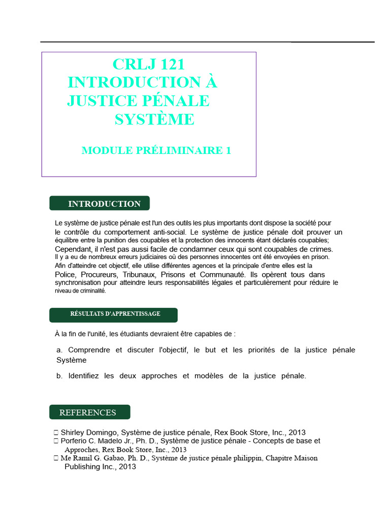 Introduction au Système de Justice Pénale | PDF | Crimes | Crime et ...