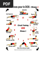 Scapular Stabilisation: Y-W-T Exercises | PDF