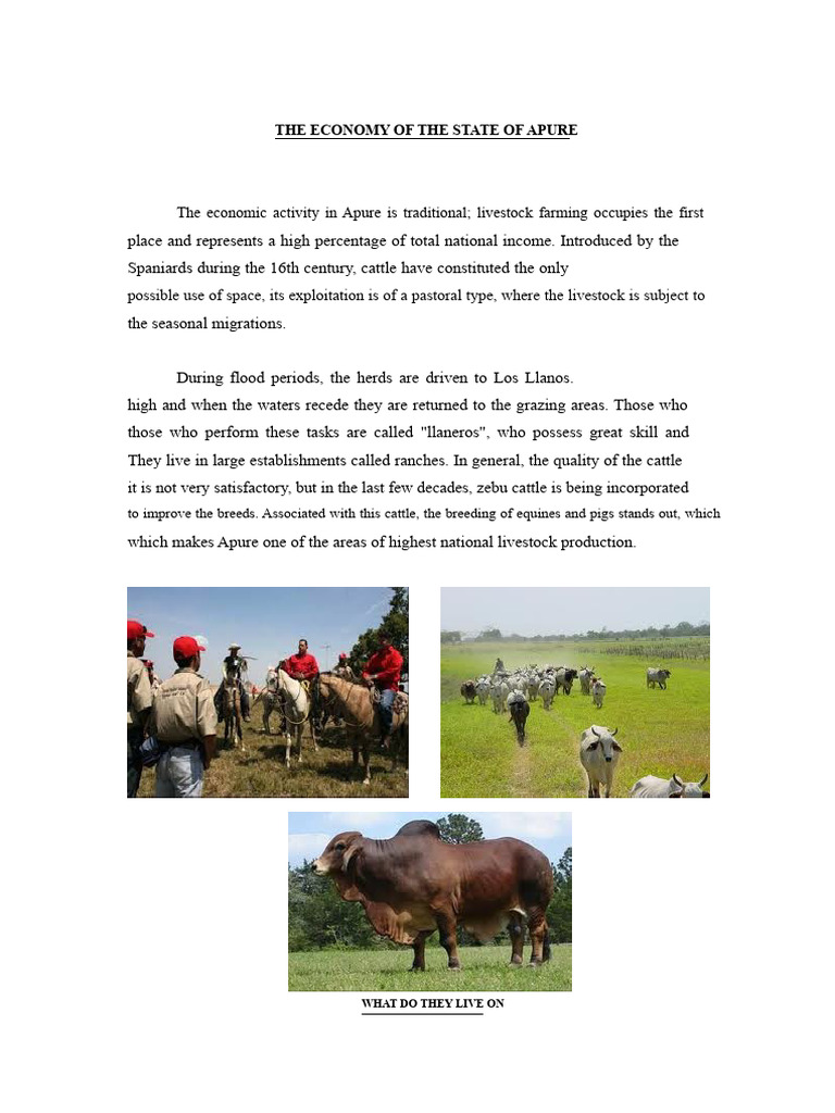 The economy of the state of Apure | PDF