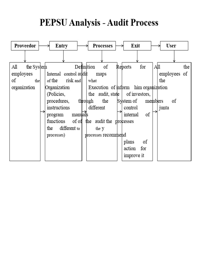 PEPSU Analysis - Audit Process | PDF
