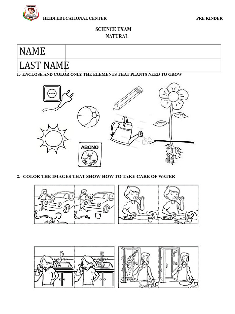 Kindergarten Science Exam October684 | PDF