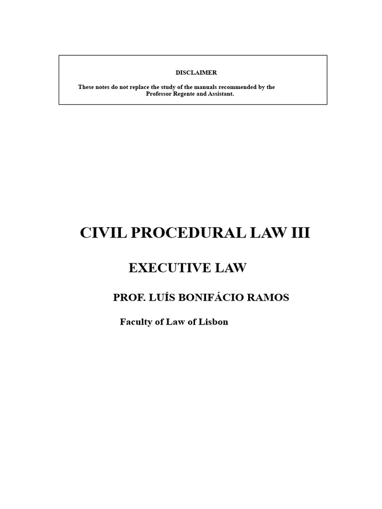 Executive Process | PDF | Negotiable Instrument | Justice