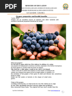 Anatomy of a Grape Explained | PDF