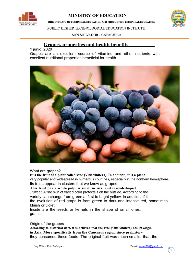 Properties of Grapes PDF Grape Vitis