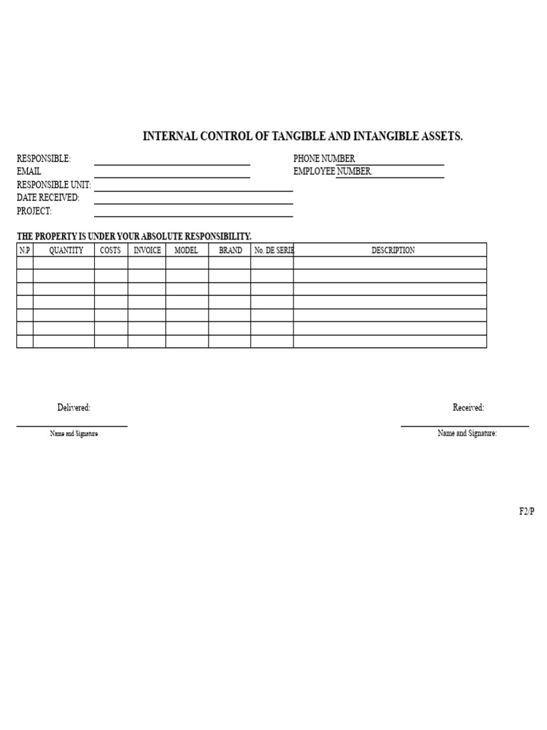 F2 Internal Control Format Fixed Assets | PDF