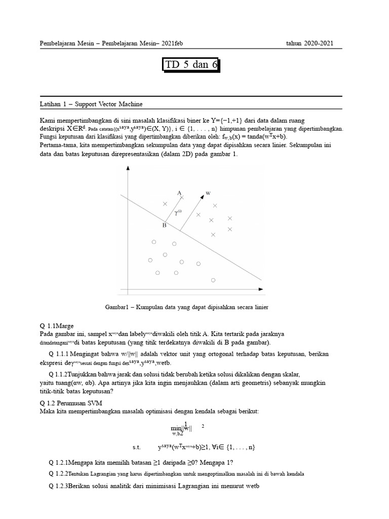 Exo SVM | PDF
