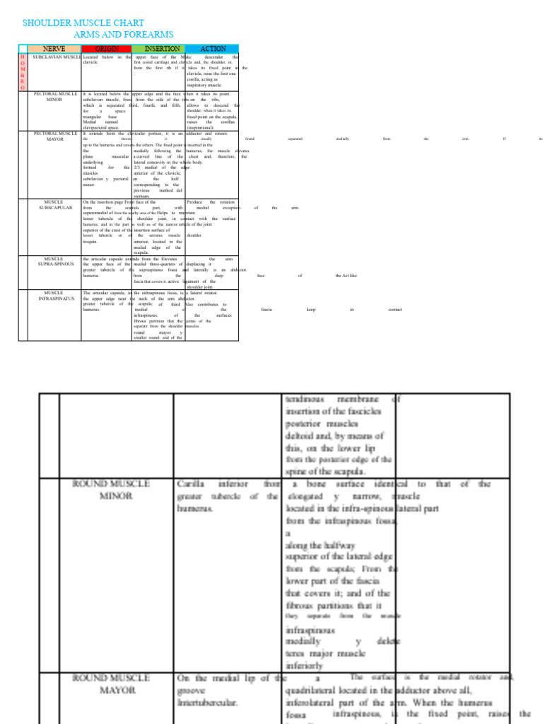 Shoulder Muscle Anatomy Chart | PDF | Arm | Shoulder