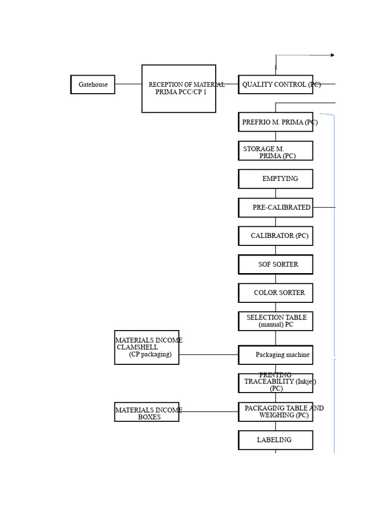 PACKING_FLOW_DIAGRAM | PDF