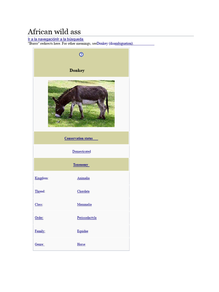 Donkey | PDF | Donkey | Equus (Genus)