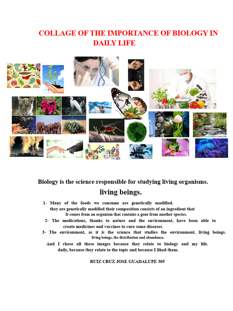 Collage of The Importance of Biology in Daily Life | PDF