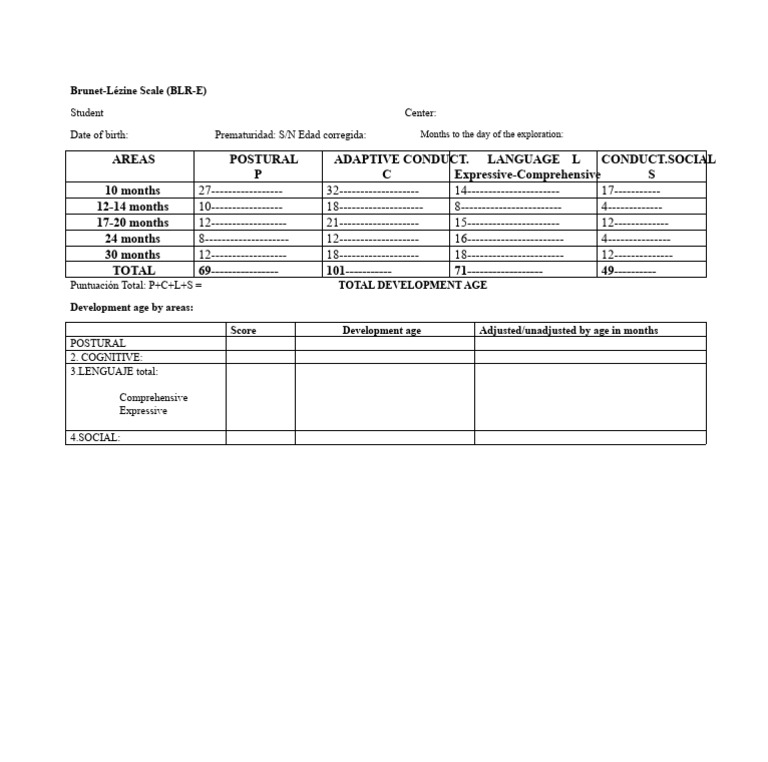 Brunet-Lézine Scale Development Assessment | PDF
