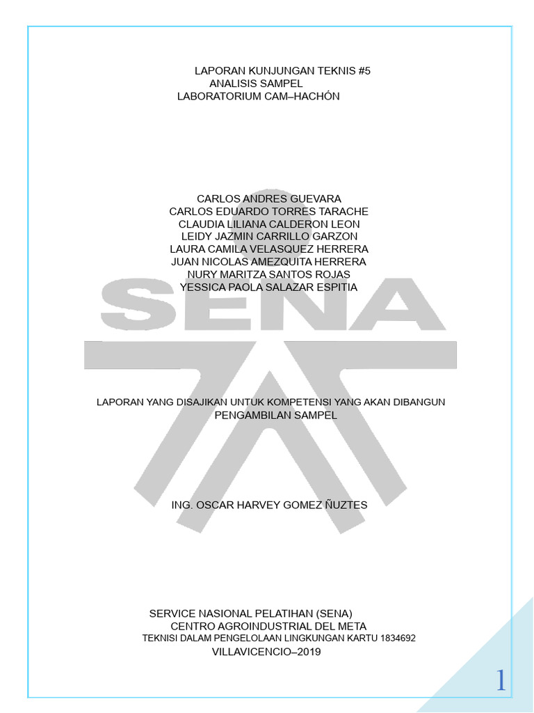 Laboratori Hachon Sena Meta | PDF