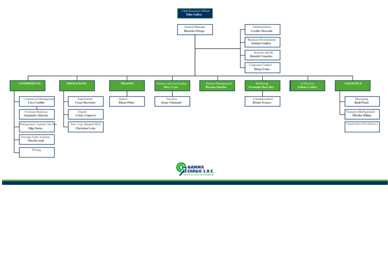 Company Leadership and Departments Overview | PDF