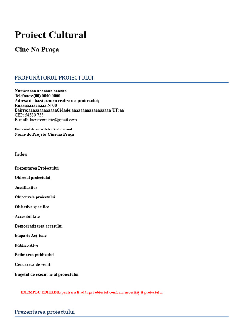 Model de Proiect Cultural Audio-Visual | PDF