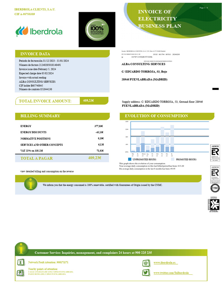 Iberdrola Electricity Invoice Summary | PDF | Cogeneration | Power ...