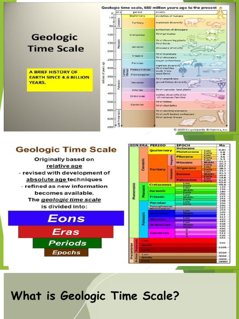 Time Scale and Hazards | PDF