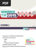 HMIS Hazard Ratings and PPE Guide | PDF | Explosive Material | Flammability