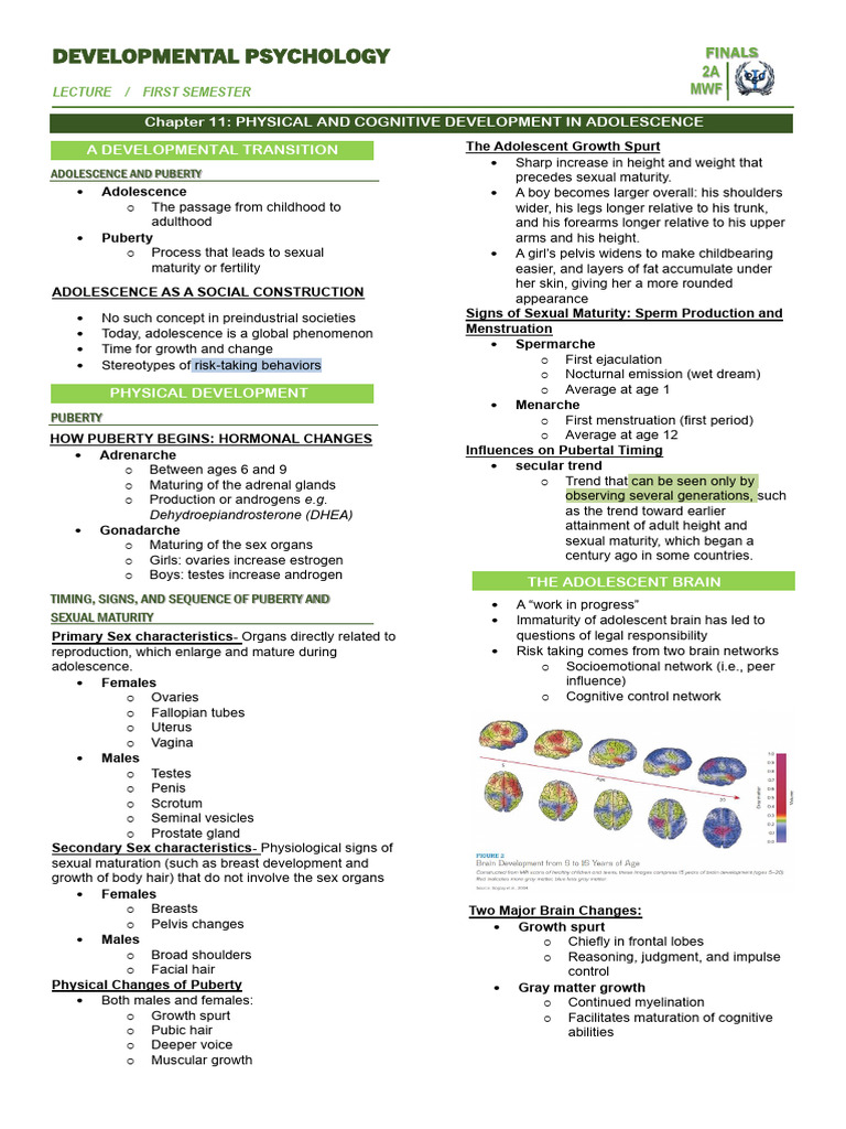 Chapter 11. Physical and Cognitive Development in Adolescence | PDF ...