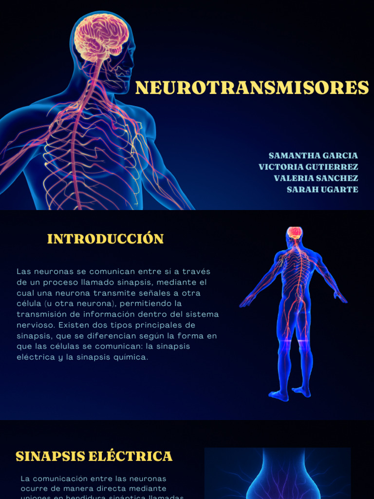Funciones y Tipos de Neurotransmisores | PDF | Sinapsis | Neurotransmisor