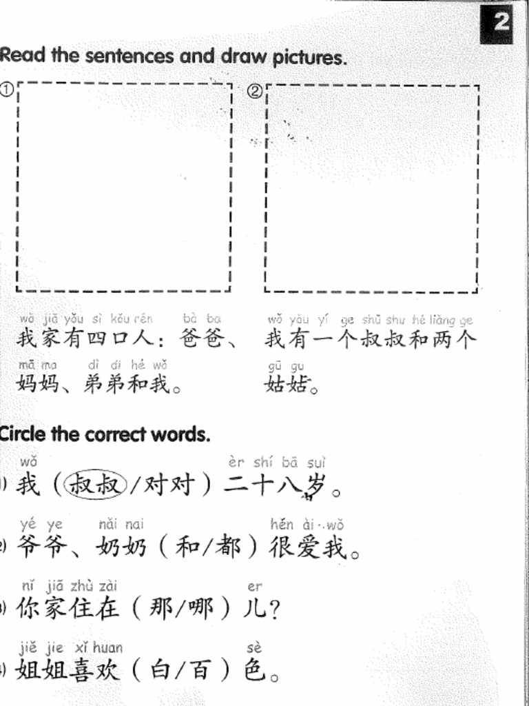 Y3 T1 Revision Exercise | PDF