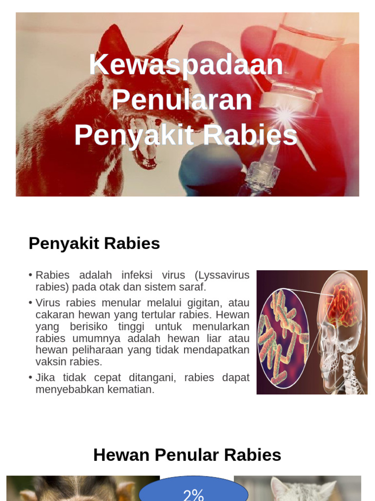 Penularan dan Penanganan Rabies | PDF