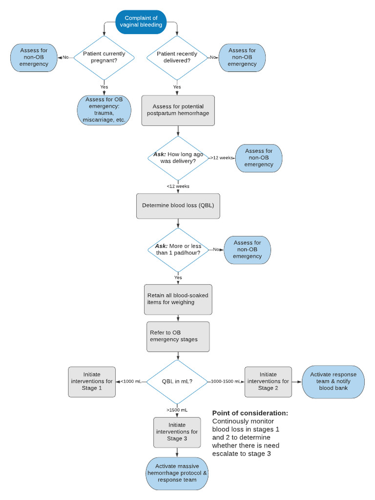 Vaginal Bleeding Assessment Protocol | PDF | Bleeding | Medical Specialties